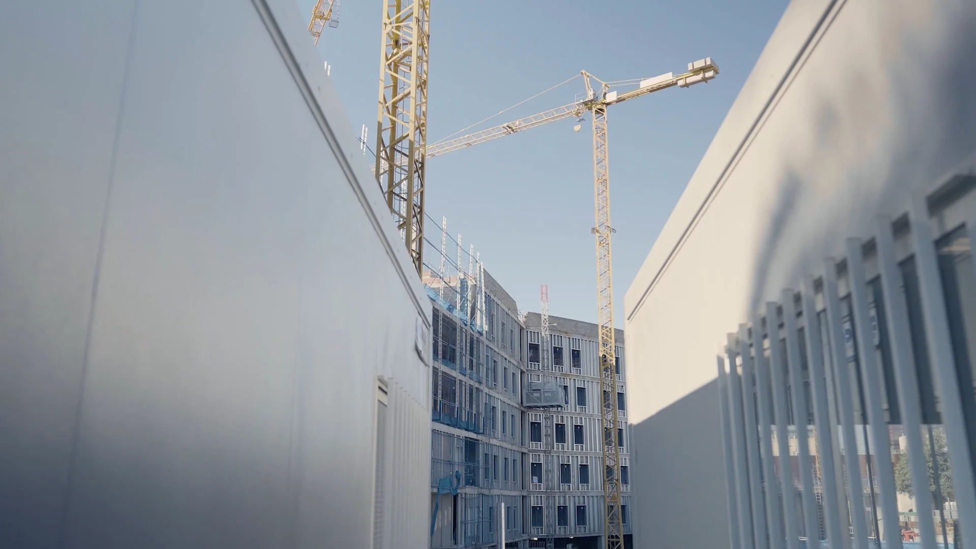Asset & Real Estate Management