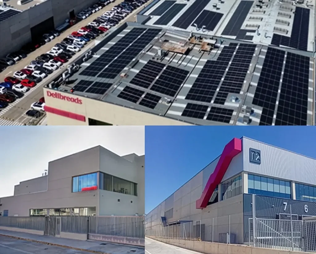 Planta de fabricación agroalimentaria: tortillas de trigo y de maíz